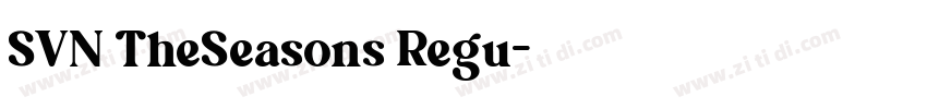 SVN TheSeasons Regu字体转换